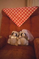 And let's not forget the children!